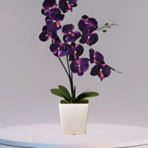 dark purple orchid