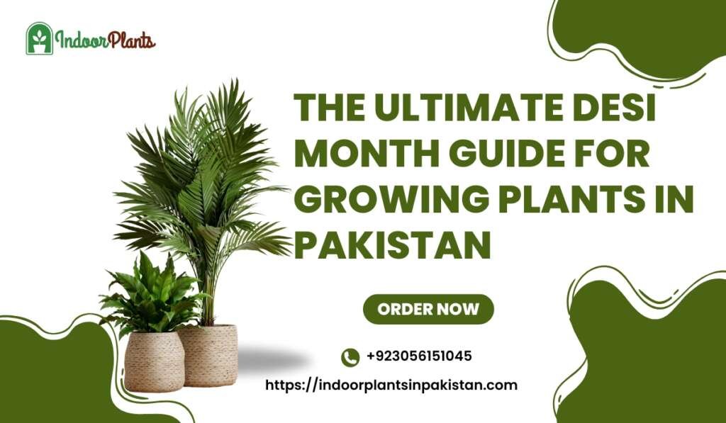 The Ultimate Desi Month Guide for Growing Plants in Pakistan